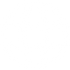 Social icon 1