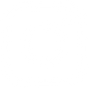Social icon 2