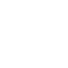 Social icon 5